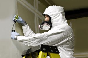 Mold Removal Specialist