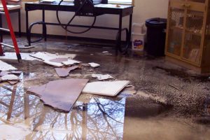 Water Damage Need a Professional